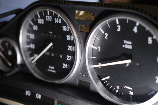 E30 individual gauge cluster